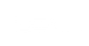 Global Production Network